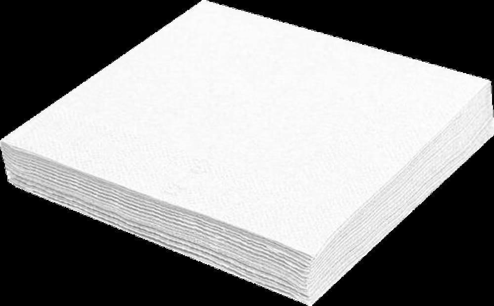 Ubrousky 2vr 24x24cm bílá 250ks 